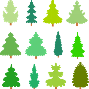 gold coast clear christmas edition