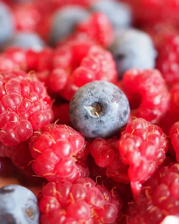 beyond blueberry