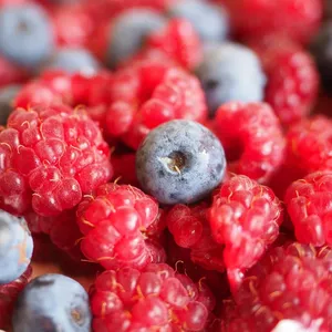 beyond blueberry